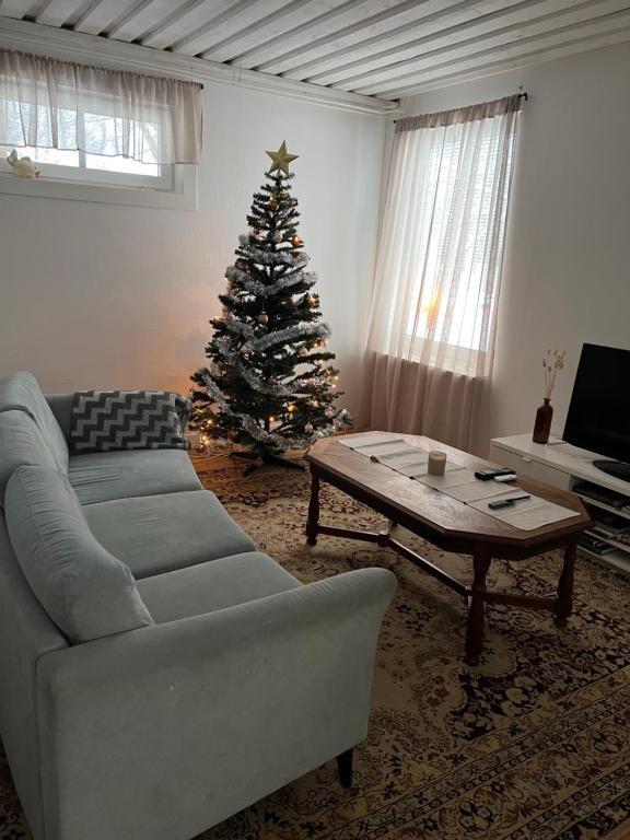 Comfortable living room at Torget 14 rental in Ludvika